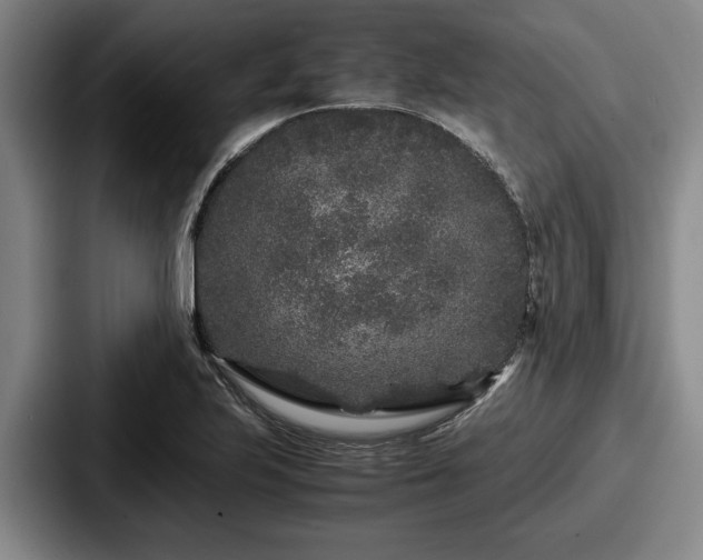 X0000087671223200705111151