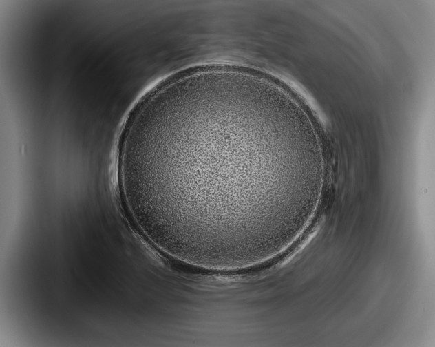 X0000087671224200705111151