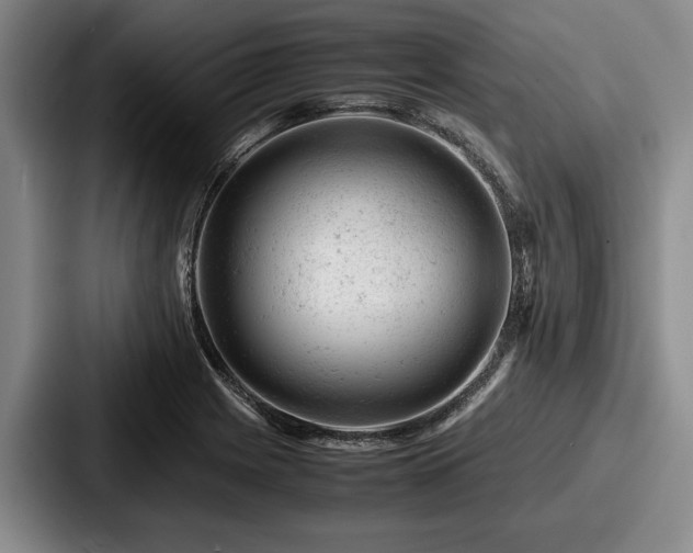 X0000087671225200705111151