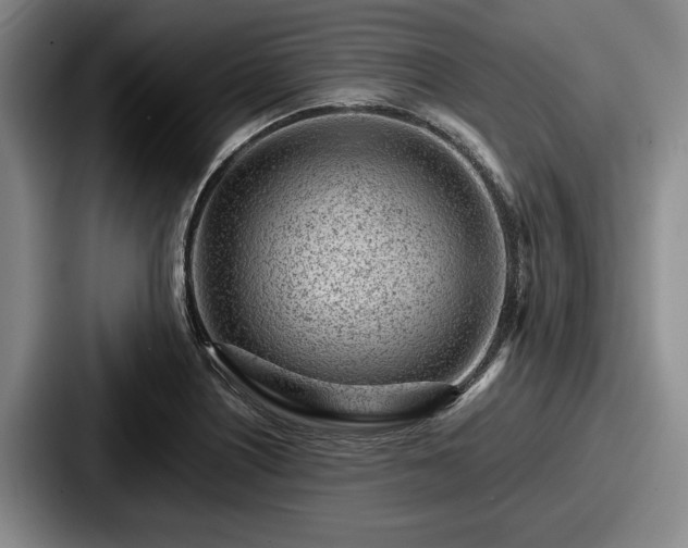 X0000087671226200705111151