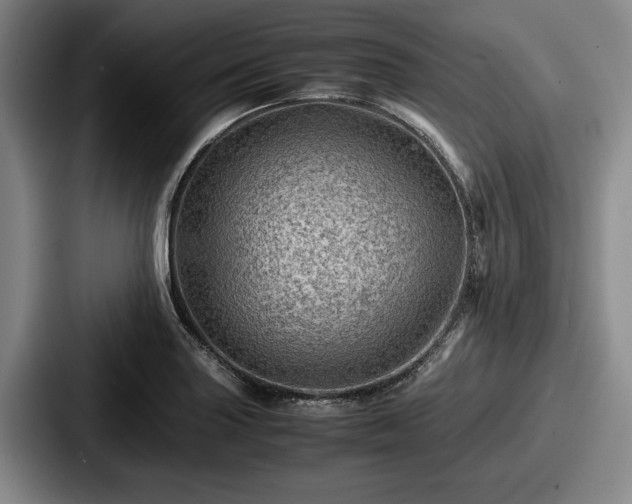 X0000087671227200705111151