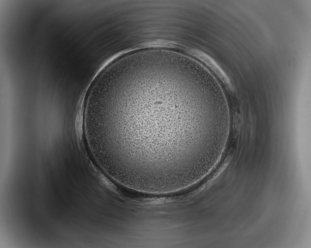 X0000087671228200705111151