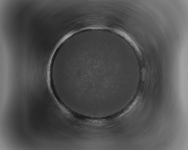 X0000087671229200705111151