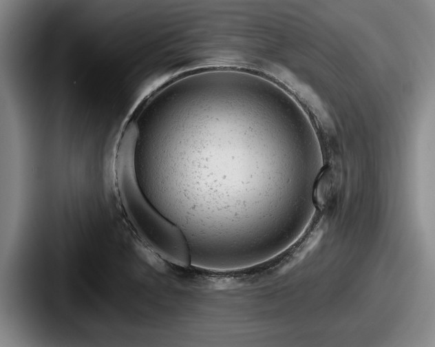 X0000087671230200705111151