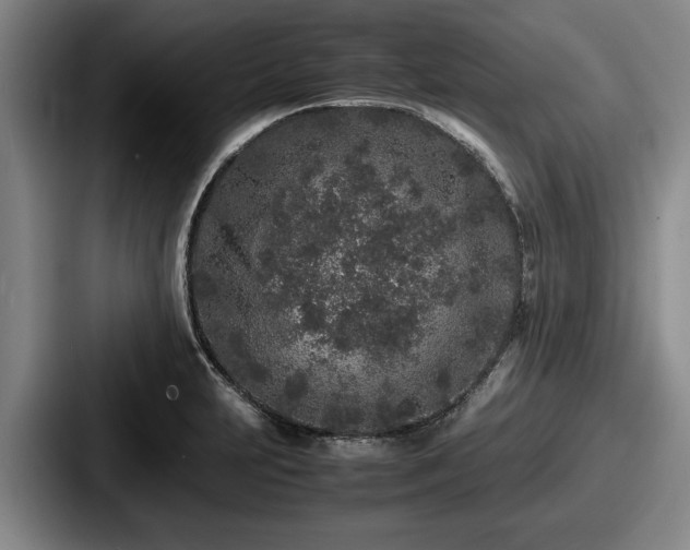 X0000087671231200705111151