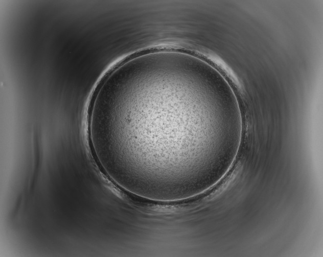 X0000087671232200705111151