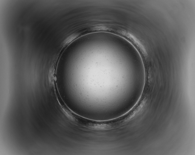 X0000087671233200705111151