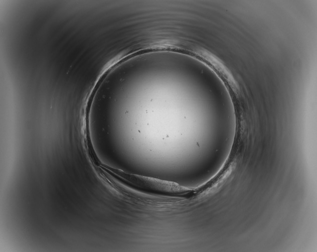 X0000087671234200705111151