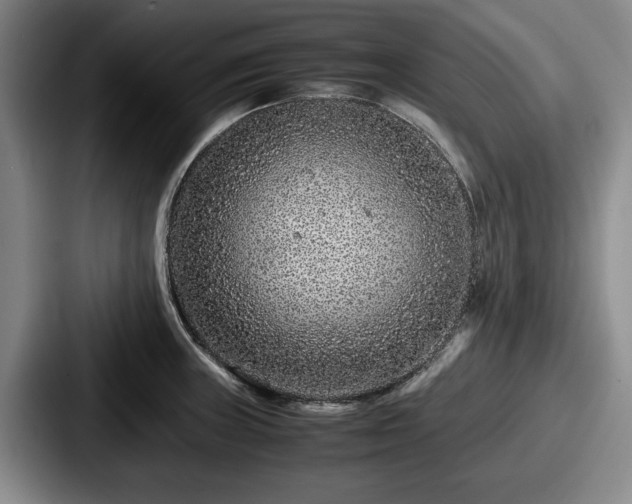 X0000087671235200705111151