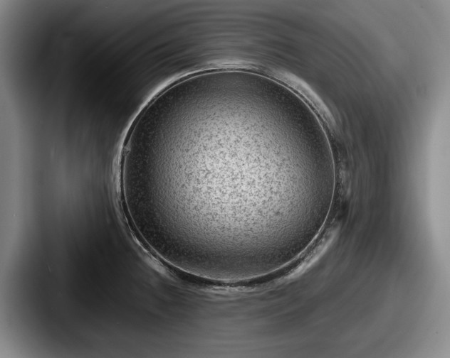 X0000087671236200705111151