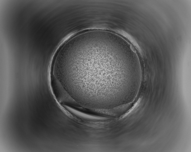 X0000087671237200705111151