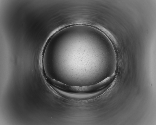 X0000087671238200705111151