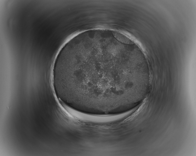 X0000087671239200705111151