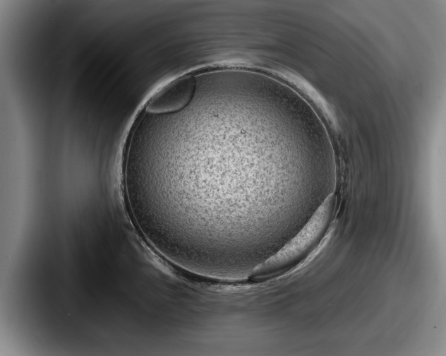 X0000087671240200705111151