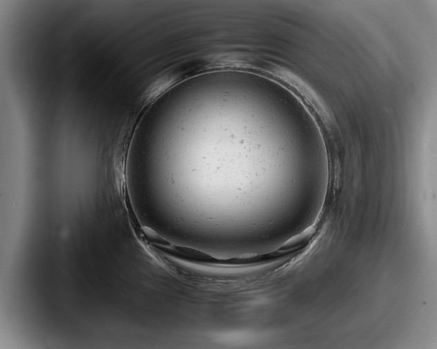 X0000087671241200705111151