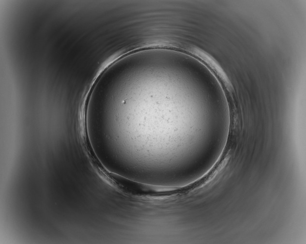 X0000087671242200705111151