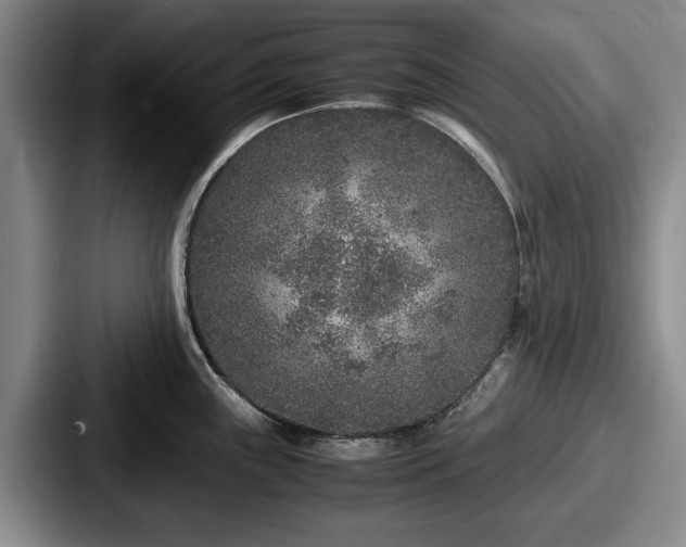 X0000087671243200705111151