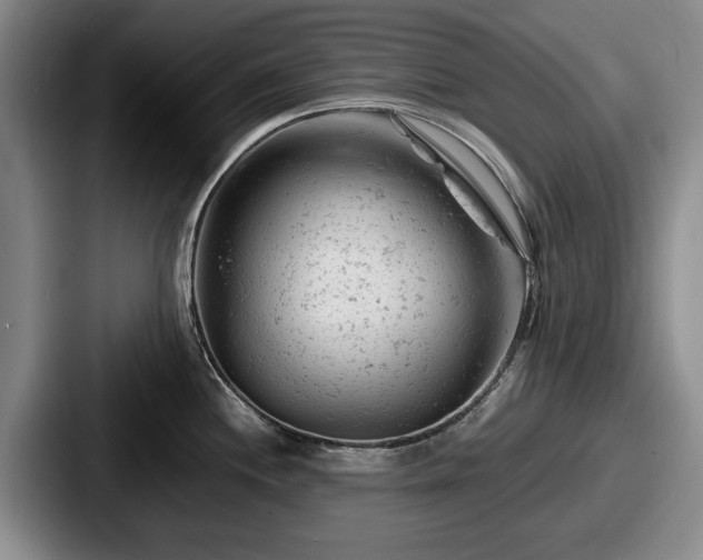 X0000087671244200705111151