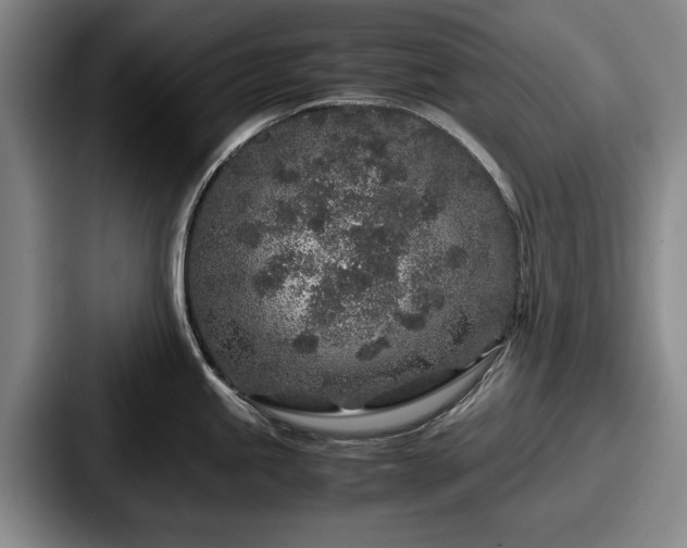 X0000087671245200705111151