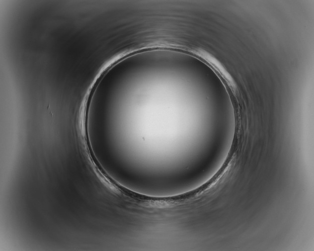 X0000087671246200705111151