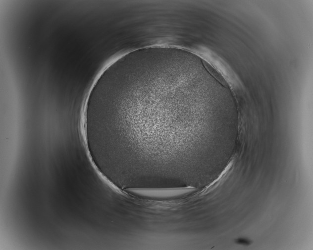 X0000087671247200705111151