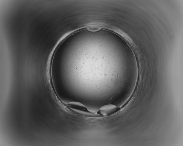 X0000087671248200705111151