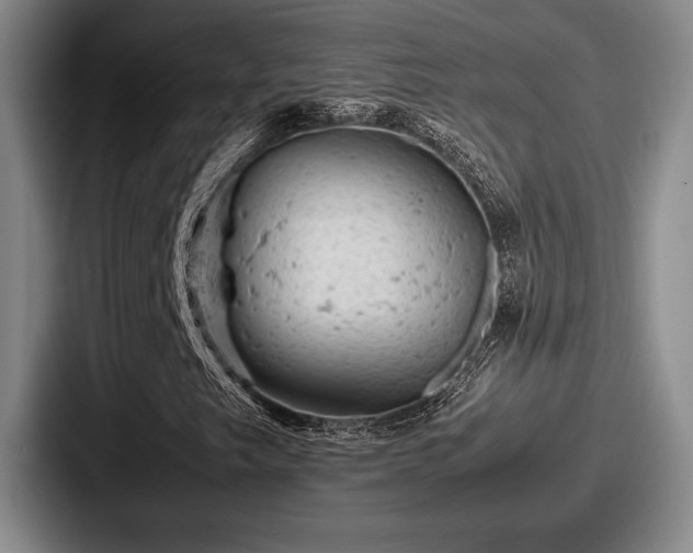 X0000087671249200705111150