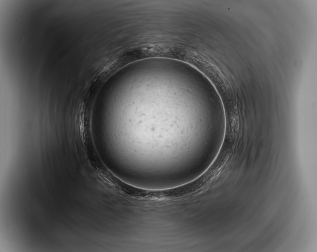 X0000087671250200705111150