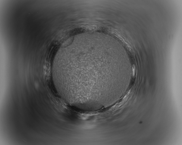 X0000087671251200705111150