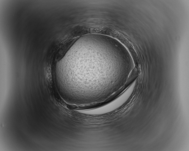 X0000087671252200705111150