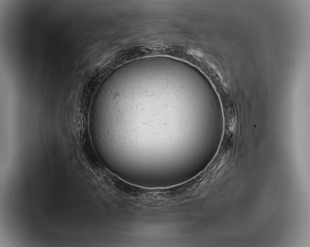 X0000087671253200705111150