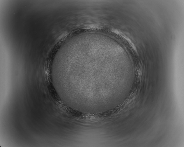 X0000087671254200705111150