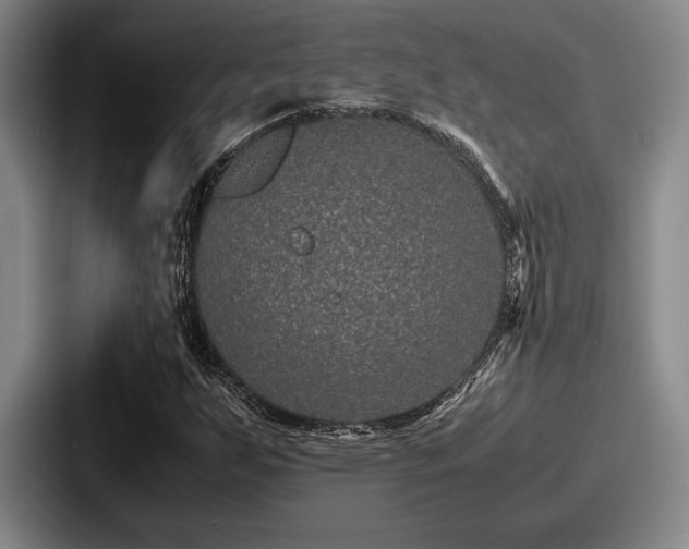 X0000087671255200705111150