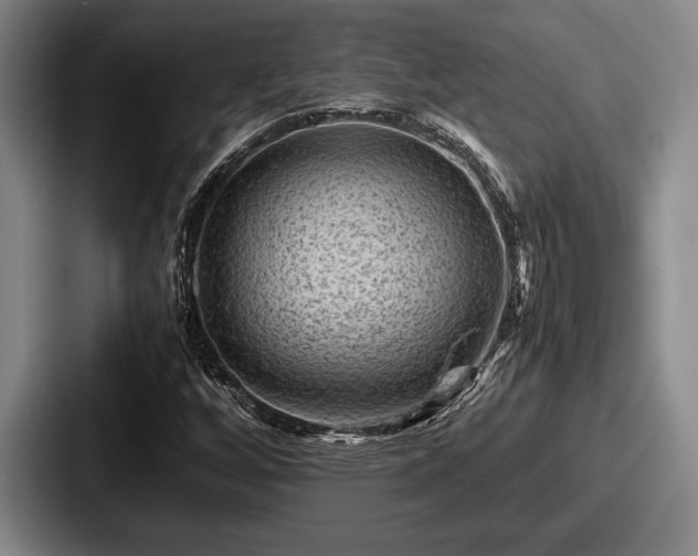 X0000087671256200705111150