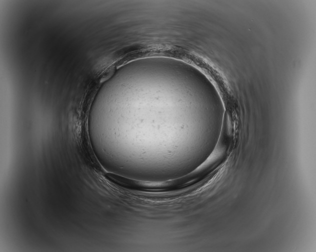 X0000087671257200705111150