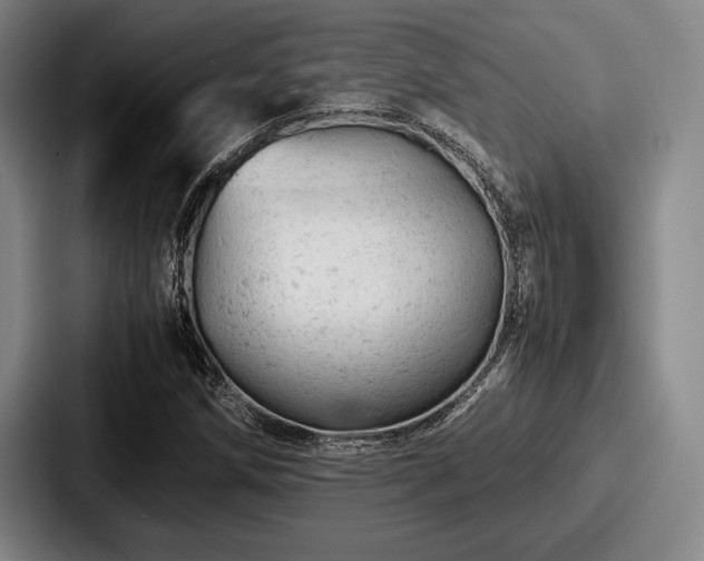 X0000087671258200705111150