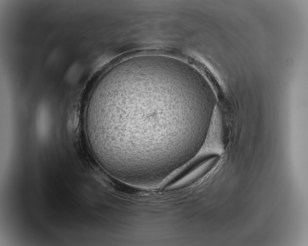 X0000087671259200705111150