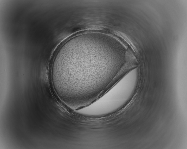 X0000087671260200705111150