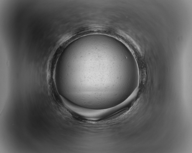 X0000087671261200705111150