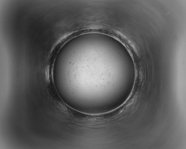 X0000087671262200705111150