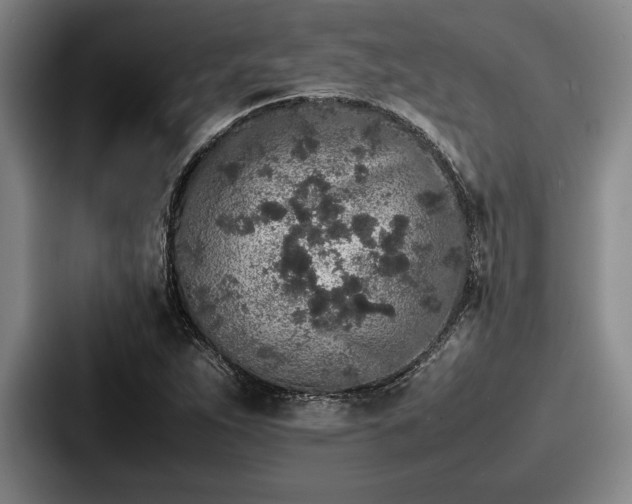 X0000087671263200705111150