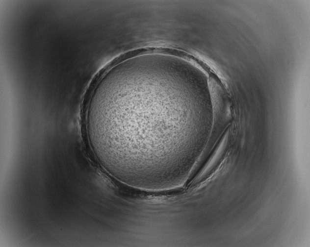 X0000087671264200705111150