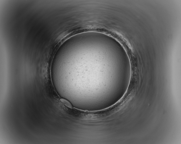 X0000087671265200705111150