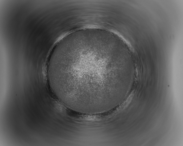 X0000087671266200705111150