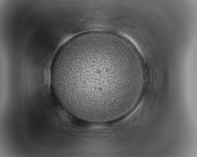 X0000087671267200705111150