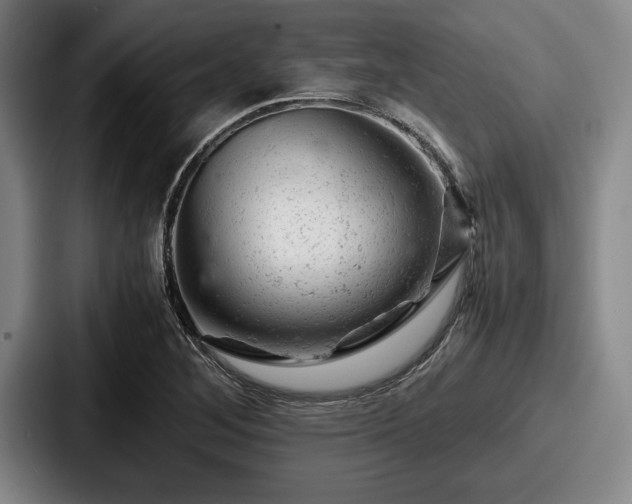 X0000087671268200705111150