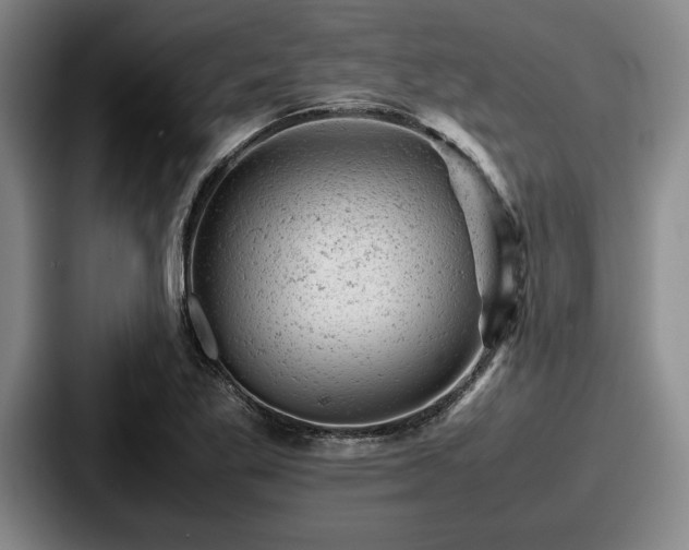 X0000087671269200705111150