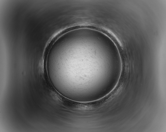 X0000087671270200705111150