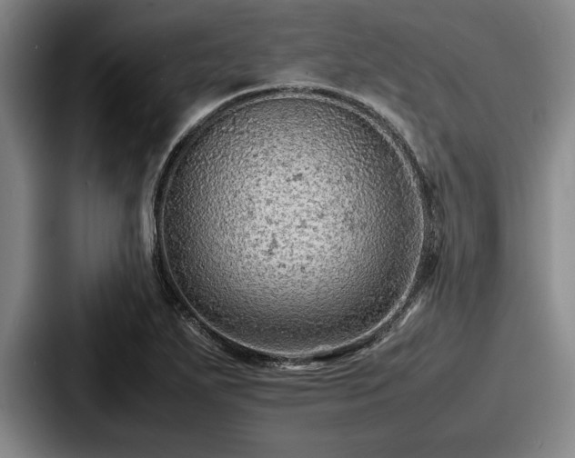 X0000087671271200705111150