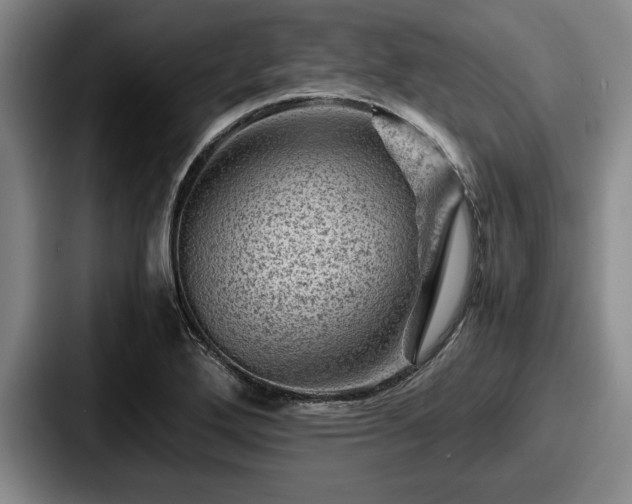 X0000087671272200705111150